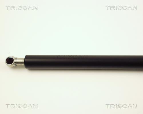 Vérin (Vérin de hayon) Triscan A/S ref. 8710 29104