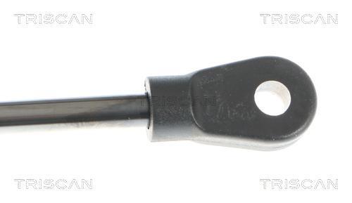 Vérin (Vérin de hayon) Triscan A/S ref. 8710 29105