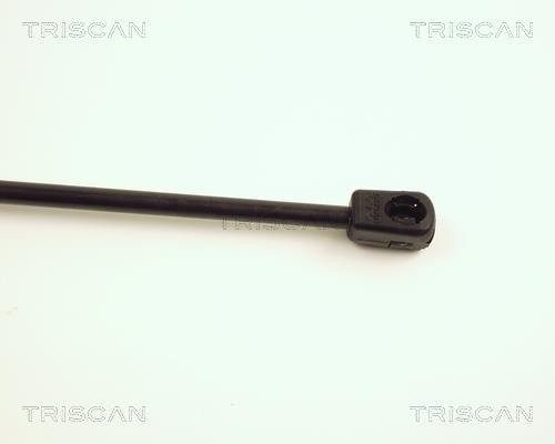 Vérin (Vérin de hayon) Triscan A/S ref. 8710 29106