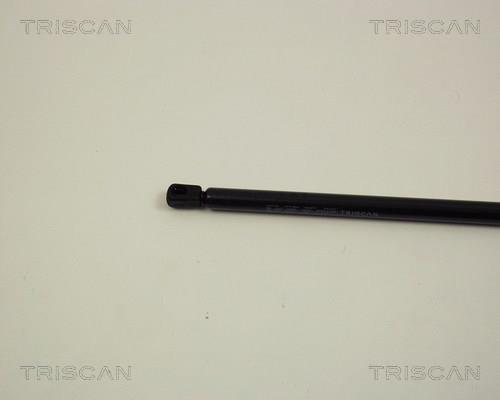 Vérin (Vérin de hayon) Triscan A/S 8710 29107