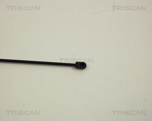 Vérin (Vérin de hayon) Triscan A/S 8710 29107