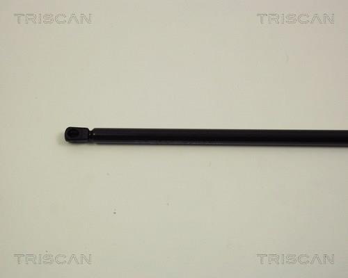 Cilindro Triscan A/S 8710 29109