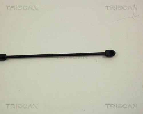 Cilindro Triscan A/S 8710 29109
