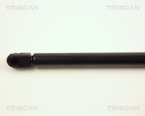 Vérin (Vérin de hayon) Triscan A/S ref. 8710 29111