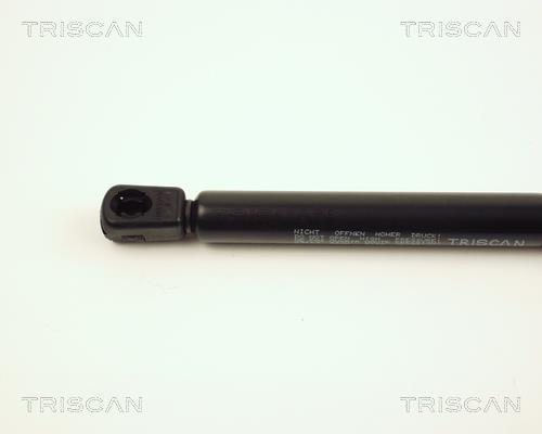 Cilindro Triscan A/S ref. 8710 29113