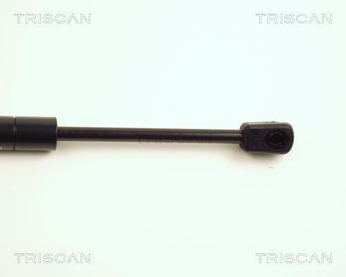 Cilindro Triscan A/S ref. 8710 29113