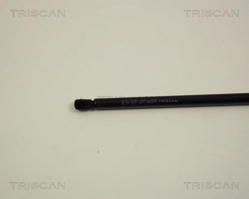 Vérin (Vérin de hayon) Triscan A/S 8710 29117