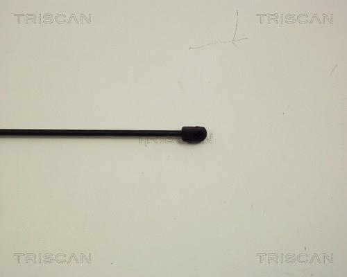 Vérin (Vérin de hayon) Triscan A/S 8710 29117