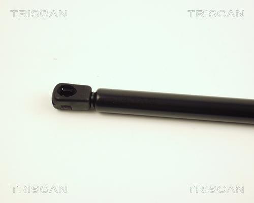 Vérin (Vérin de hayon) Triscan A/S ref. 8710 29118