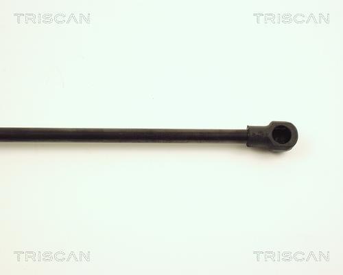 Vérin (Vérin de hayon) Triscan A/S ref. 8710 29118