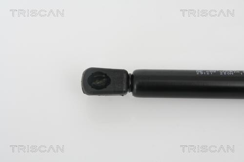 Vérin (Vérin de hayon) Triscan A/S 8710 29121