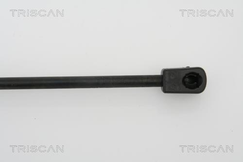 Vérin (Vérin de hayon) Triscan A/S 8710 29121
