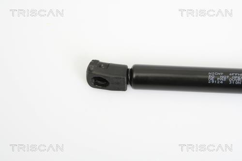 Cilindro Triscan A/S 8710 29124