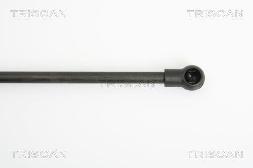 Cilindro Triscan A/S 8710 29124