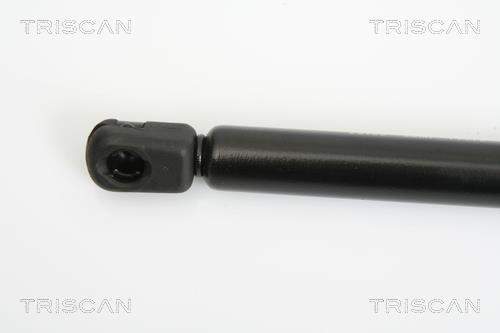 Muelle neumático Triscan A/S ref. 8710 29125