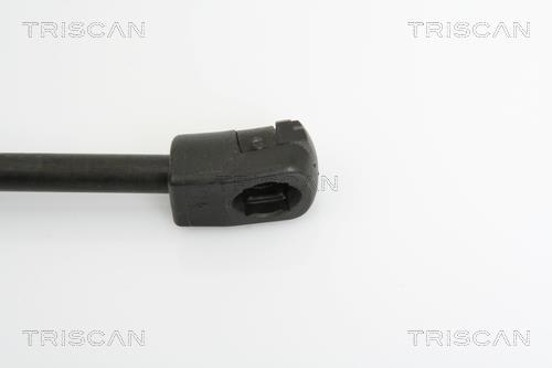 Muelle neumático Triscan A/S ref. 8710 29125
