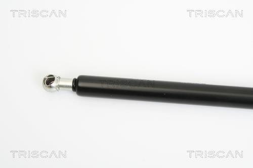 Vérin (Vérin de hayon) Triscan A/S ref. 8710 29127