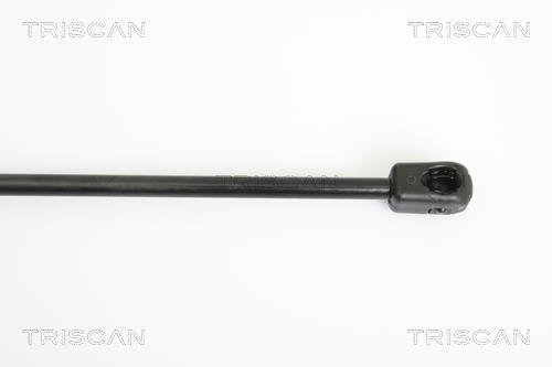Vérin (Vérin de hayon) Triscan A/S ref. 8710 29127