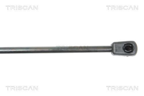 Vérin (Vérin de hayon) Triscan A/S 8710 29129