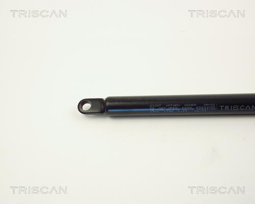 Vérin (Vérin de hayon) Triscan A/S 8710 2912