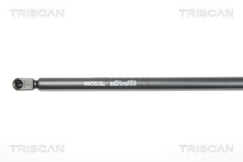 Cilindro Triscan A/S 8710 29130