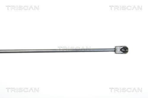 Cilindro Triscan A/S 8710 29130