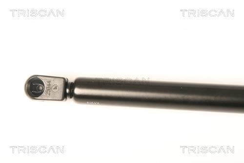 Vérin (Vérin de hayon) Triscan A/S ref. 8710 29132