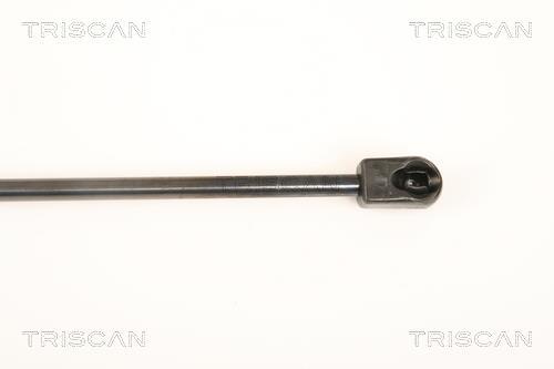 Vérin (Vérin de hayon) Triscan A/S ref. 8710 29132