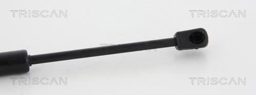 Vérin (Vérin de hayon) Triscan A/S ref. 8710 29134