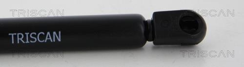 Cilindro Triscan A/S 8710 29135