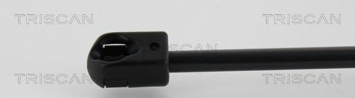Cilindro Triscan A/S 8710 29135