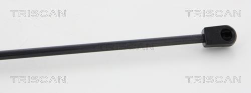 Cilindro Triscan A/S ref. 8710 29136