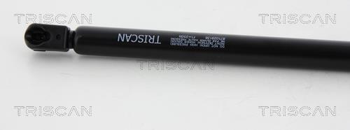 Cilindro Triscan A/S ref. 8710 29136