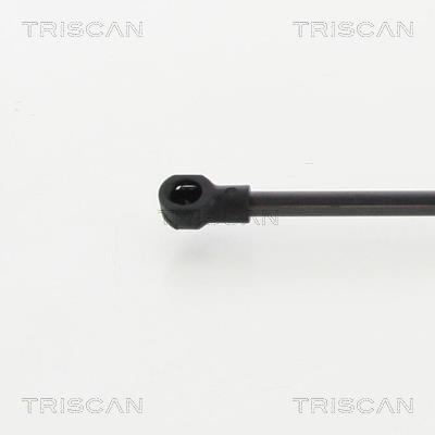 Vérin (Vérin de hayon) Triscan A/S 8710 29137