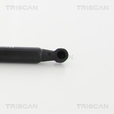 Vérin (Vérin de hayon) Triscan A/S 8710 29137