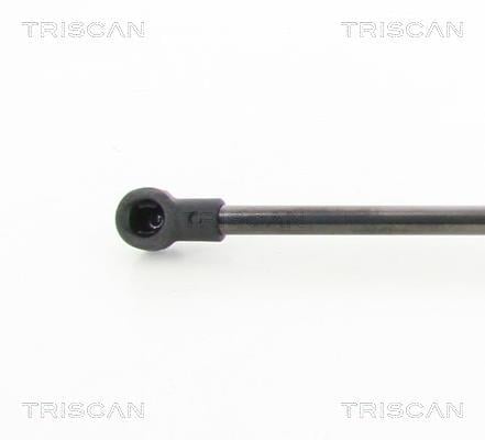 Vérin (Vérin de hayon) Triscan A/S 8710 29138