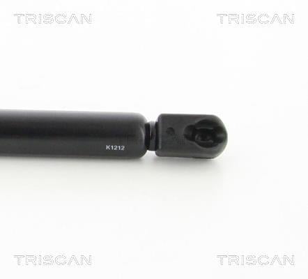 Vérin (Vérin de hayon) Triscan A/S 8710 29138
