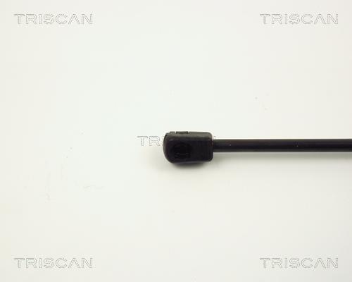 Vérin (Vérin de hayon) Triscan A/S ref. 8710 2913