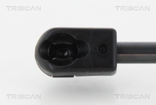 Cilindro Triscan A/S 8710 29140
