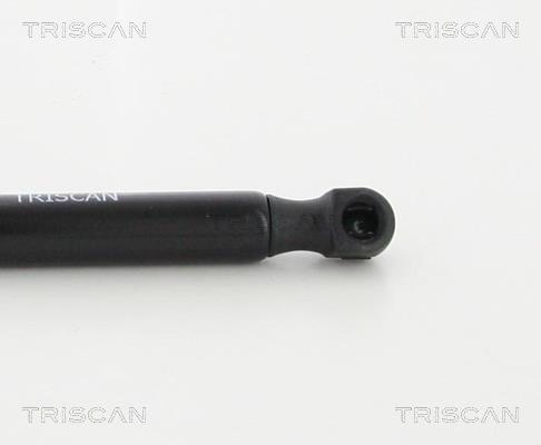 Cilindro Triscan A/S 8710 29140