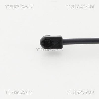Vérin (Vérin de hayon) Triscan A/S 8710 29142