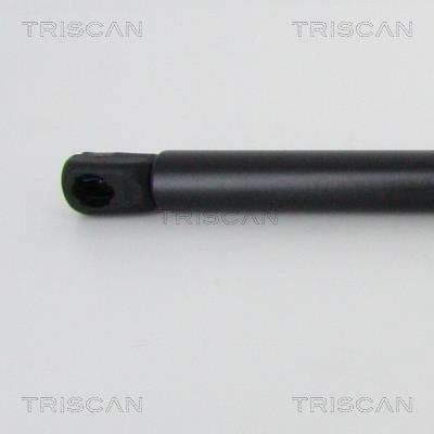 Cilindro Triscan A/S 8710 29145