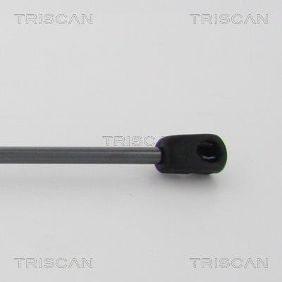 Cilindro Triscan A/S 8710 29145