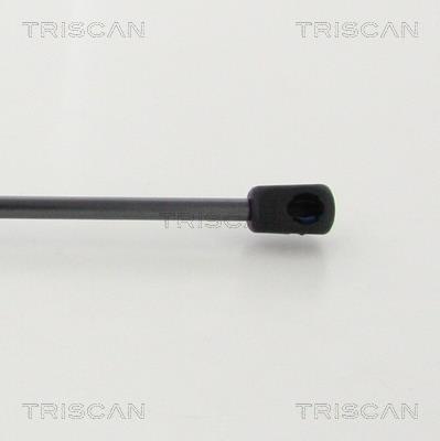 Cilindro Triscan A/S 8710 29146