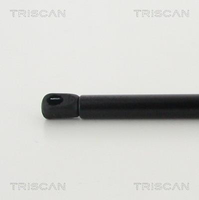 Cilindro Triscan A/S 8710 29146