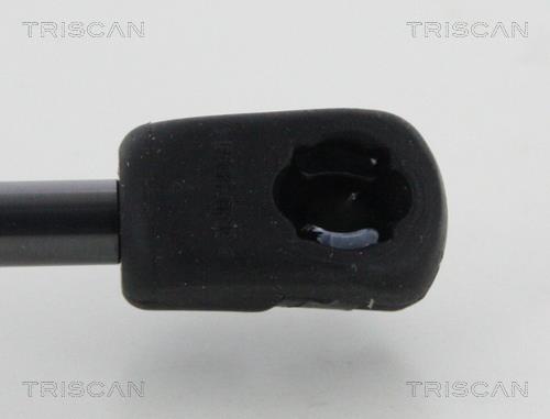 Cilindro Triscan A/S 8710 29147