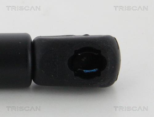 Cilindro Triscan A/S 8710 29147