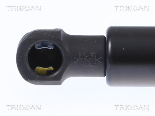 Cilindro Triscan A/S 8710 29149