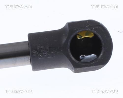 Cilindro Triscan A/S 8710 29149