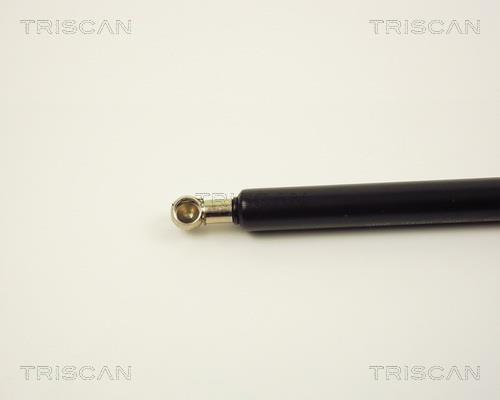 Vérin (Vérin de hayon) Triscan A/S 8710 2914